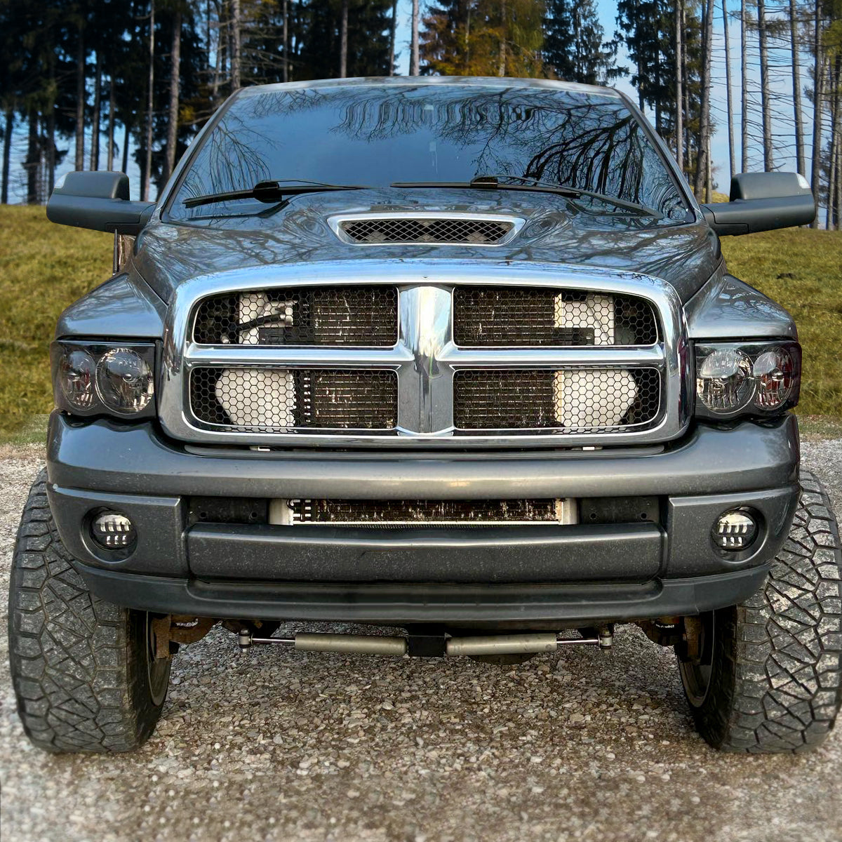 Ronnin - Fits 2002-2005 Dodge Ram 1500 2500 3500 Factory Style Replacement Headlights Assembly Pair | Smoke