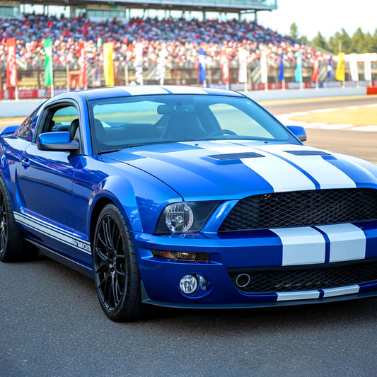 Ronnin - Fits 2005-2009 Ford Mustang Factory Replacement Bumper Lights Assembly Pair | Black