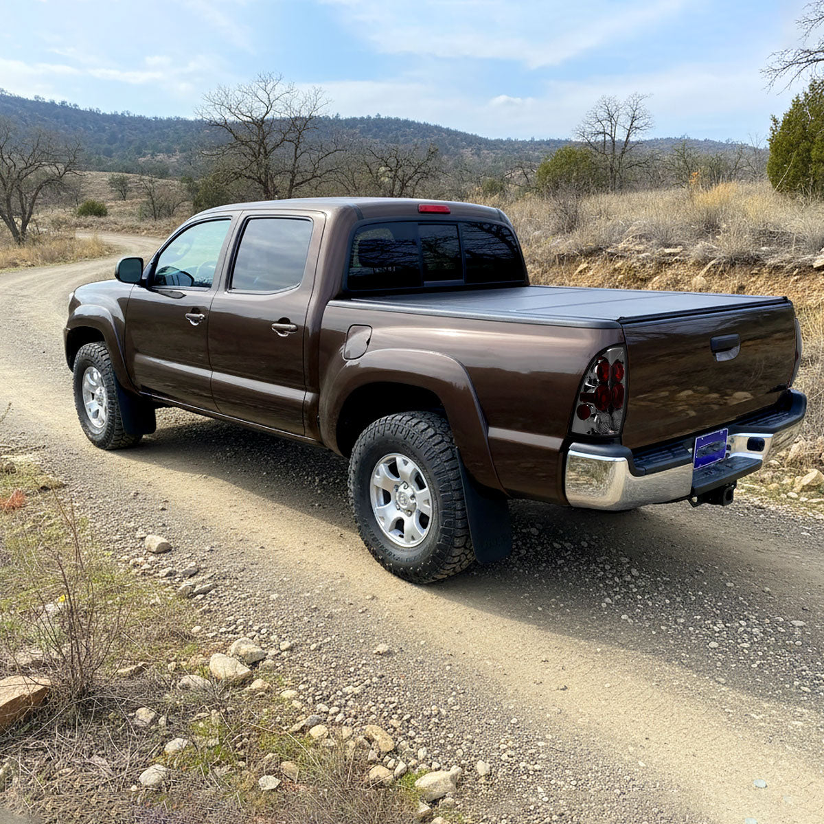 Ronnin - Conjunto de luces traseras de repuesto estilo europeo para Toyota Tacoma 2005-2008 Par | Ahumado