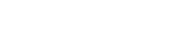 Ronnin USA